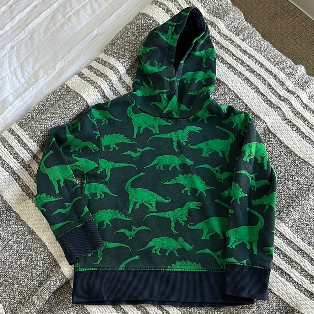 H&M Dino hoodie